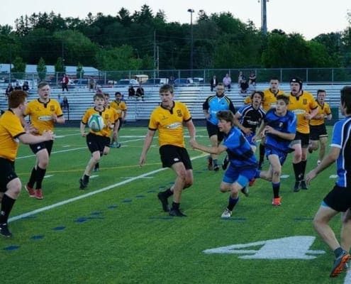 Rugby players in yellow and blue jerseys run and tackle on a green field during a match at Crusaders Rugby Club in Oakville.