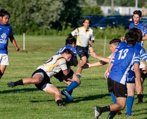 Crusaders Rugby Club players in blue and white jerseys chase the ball during a rugby match on a grassy field in Oakville.