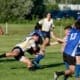 Crusaders Rugby Club players in blue and white jerseys chase the ball during a rugby match on a grassy field in Oakville.
