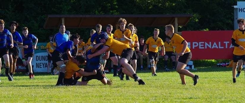 MT4 Crusaders Rugby Club players in blue and yellow jerseys compete for the ball during a match on a grassy field in Oakville.