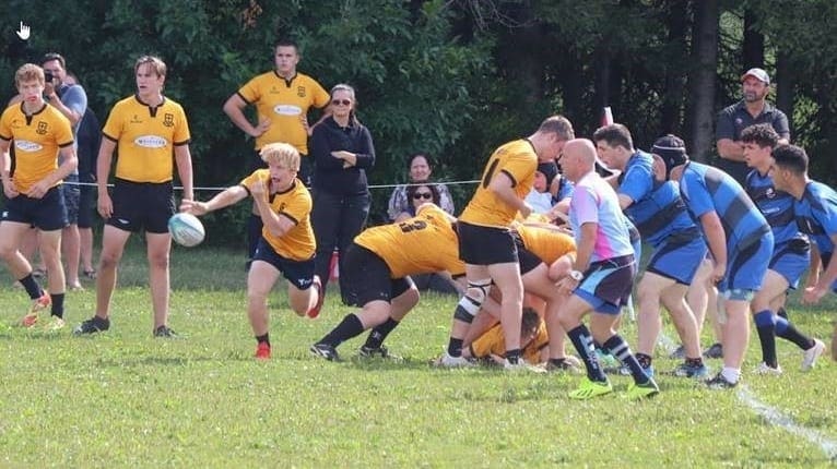 Crusaders Rugby Club players in yellow and blue jerseys compete in a scrum on a grassy field in Oakville.
