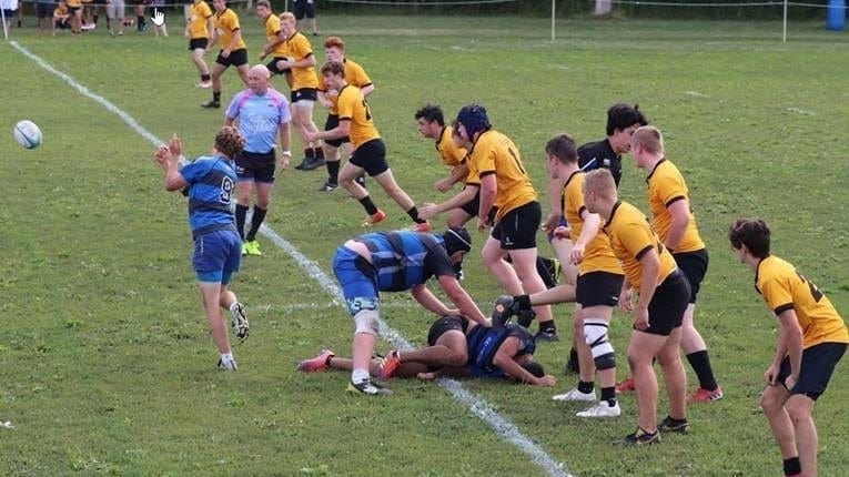 Crusaders Rugby Club players in yellow and black line up on a grassy field while a blue-uniformed player kicks the ball.
