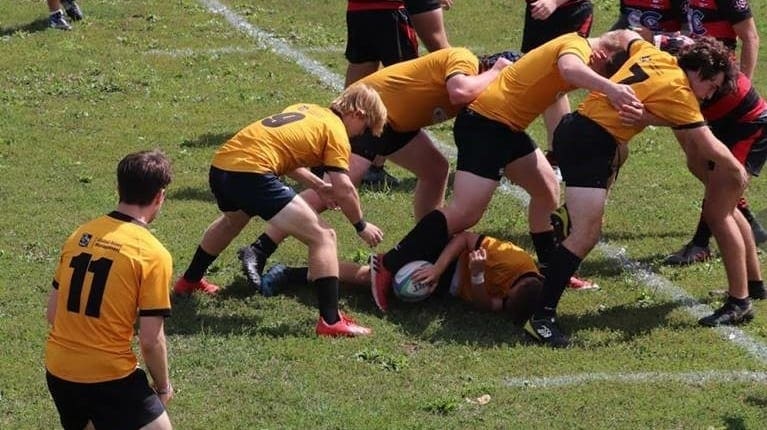 Crusaders Rugby Club players in yellow and black contest a ruck on a grassy field in Oakville.