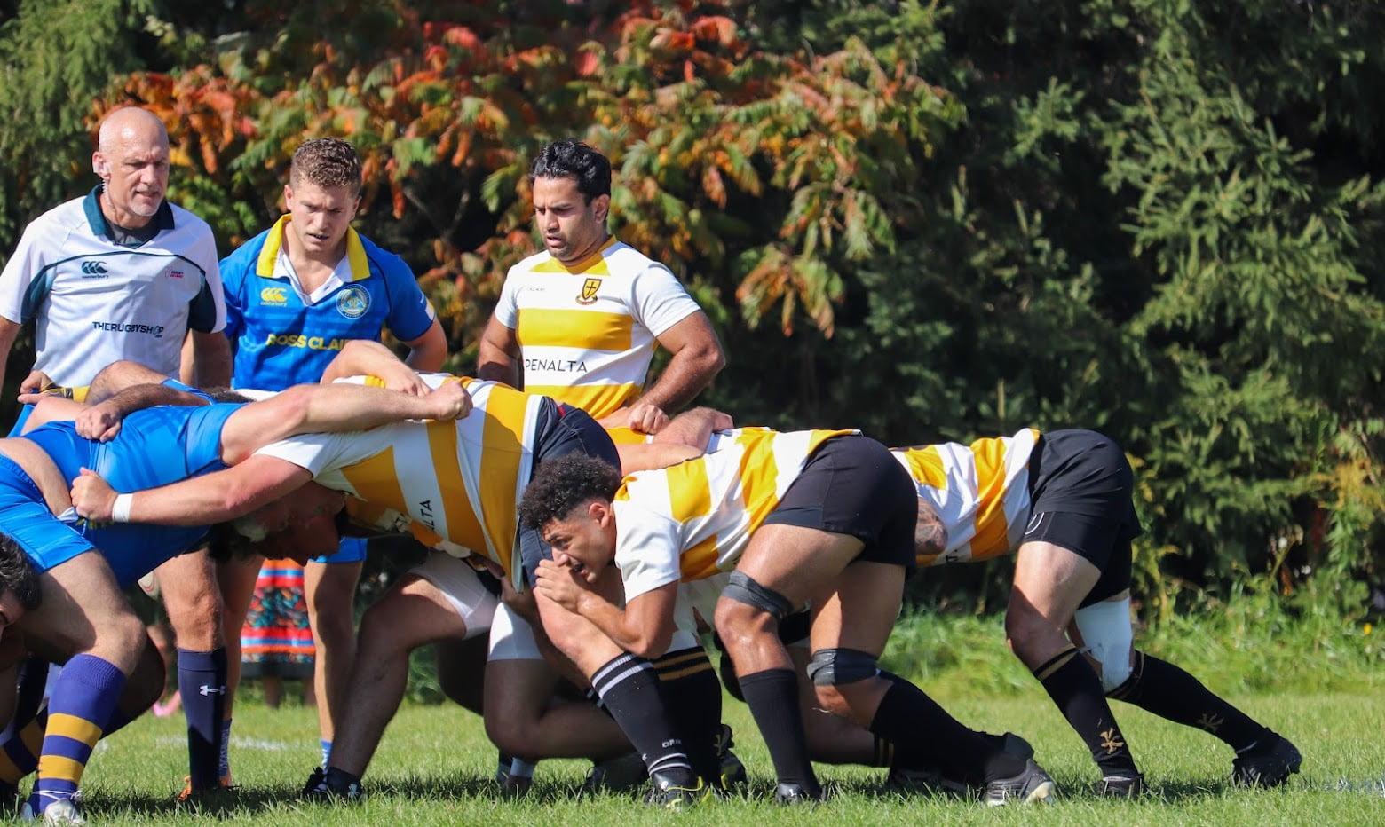 Alumni | Crusaders Rugby Club