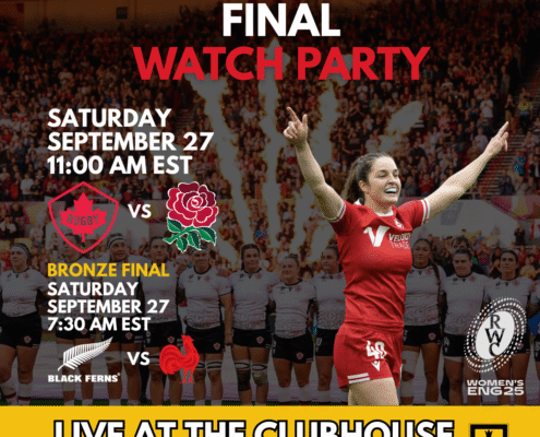 World Cup Final Watch Party