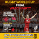 World Cup Final Watch Party