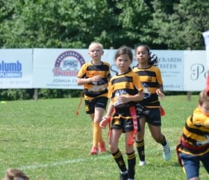 Young Crusaders Rugby Club players in black and yellow striped jerseys run on a grassy field in Oakville during a match.