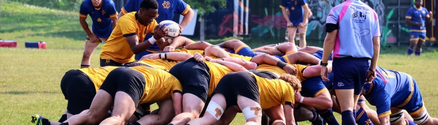 Rugby players in yellow and blue are in a scrum on a grassy field during a Crusaders Rugby Club match in Oakville.