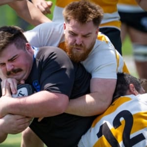 3rd Senior Men - SQ 2024 Crusaders Rugby Club players from Oakville tackle and pile on during a rugby match.