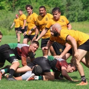 Senior Men SQ 2025 Crusaders Rugby Club players in yellow jerseys battle for the ball in a ruck on a grassy field.